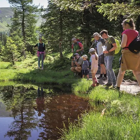 Lägenhet Hochalmbahnen Chalets Apartment 1h OG Rauris