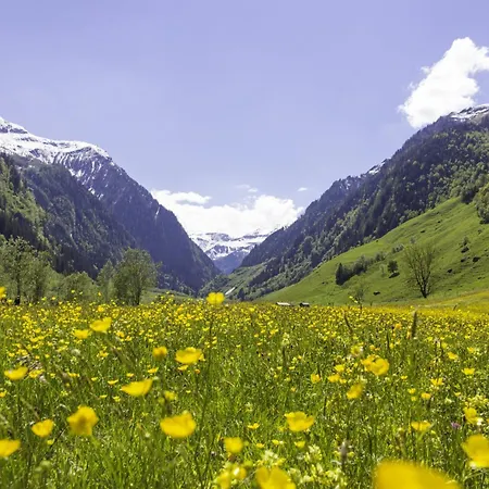 Lägenhet Hochalmbahnen Chalets Apartment 1h OG