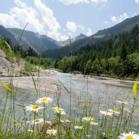 Hochalmbahnen Chalets Apartment 1h OG Lägenhet *