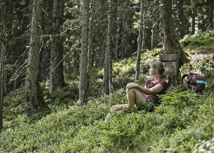 Hochalmbahnen Chalets Apartment 1h OG *