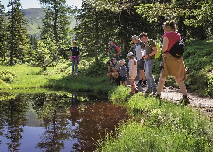 Lägenhet Hochalmbahnen Chalets Apartment 1h OG Rauris