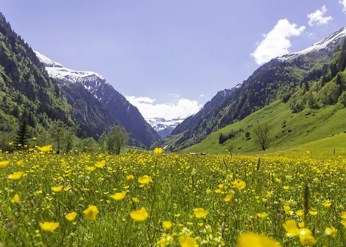 Lägenhet Hochalmbahnen Chalets Apartment 1h OG